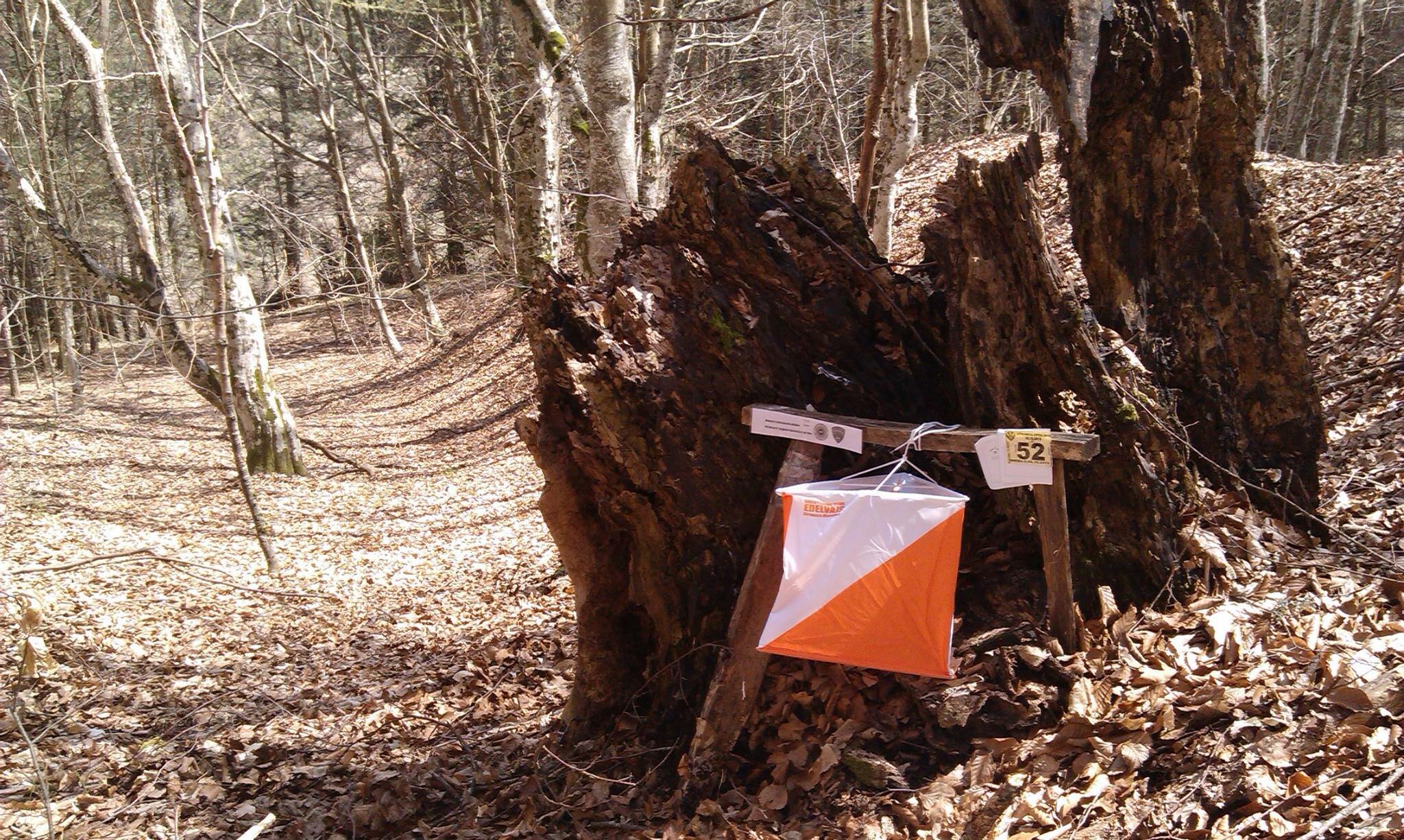 Training control points are set !